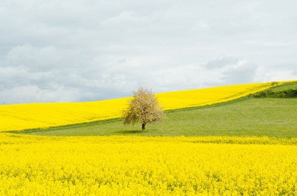 Seeking solitude on the financial independence journey 1 Seeking solitude on the financial independence journey